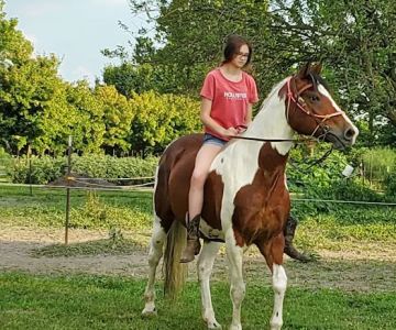 Ghrist Vet Clinic