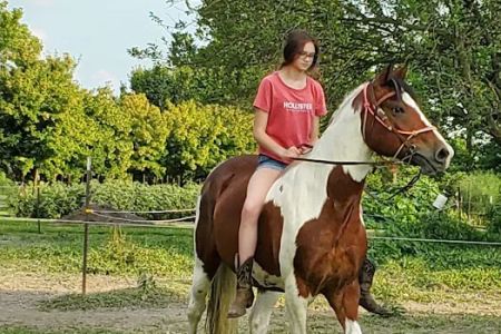 Ghrist Vet Clinic