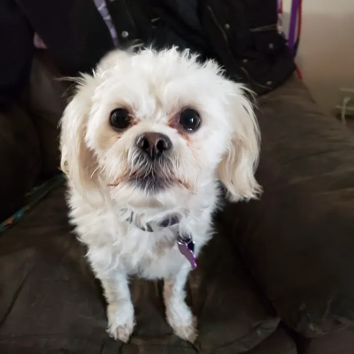 Jersey-Calhoun Veterinary Hospital 6