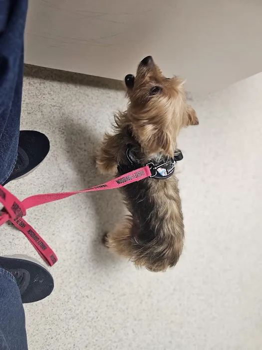 Jersey-Calhoun Veterinary Hospital 5