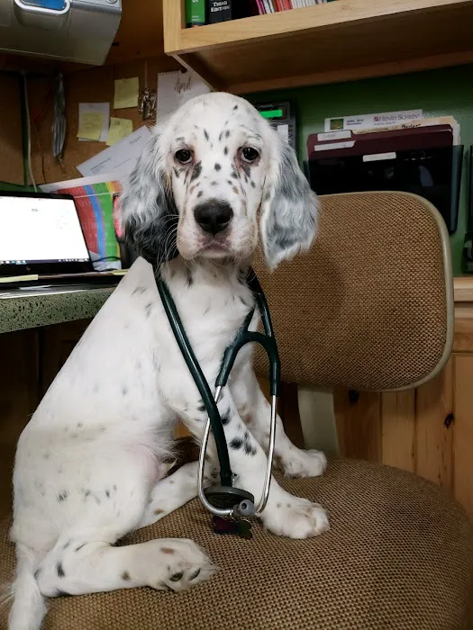 Hometown Veterinary Care 12