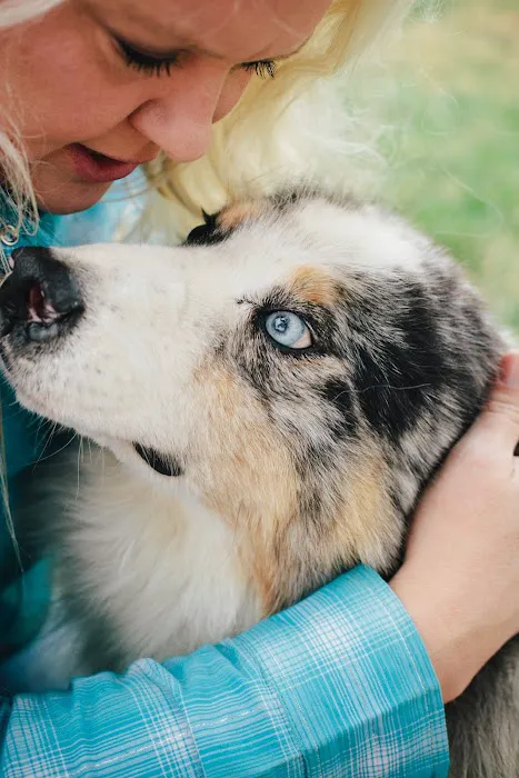 Hometown Veterinary Care 12
