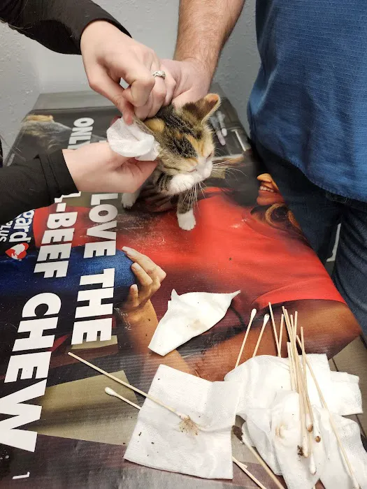 Keokuk County Veterinary Clinic 12