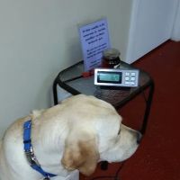 Lee County Veterinary Care ico