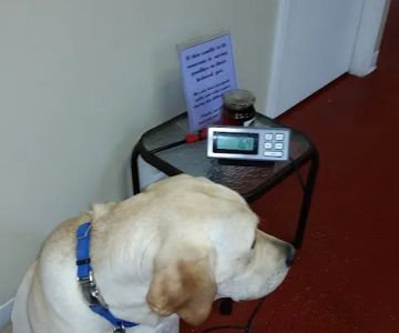Lee County Veterinary Care