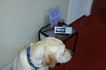 Lee County Veterinary Care