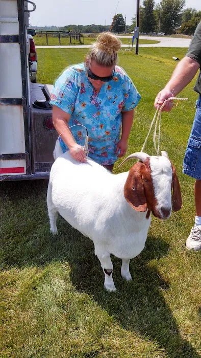 Lee County Veterinary Care 12