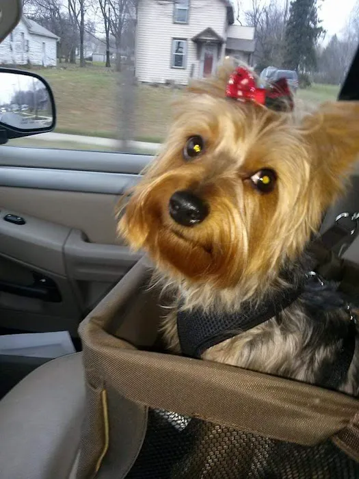 The Pet Care Center of Jackson south 8