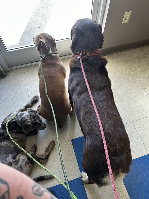 The Pet Care Center of Jackson south 7