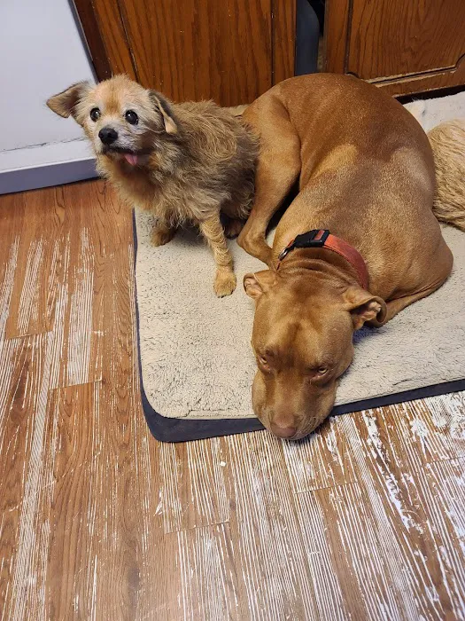 Gibson County Animal Clinic 4