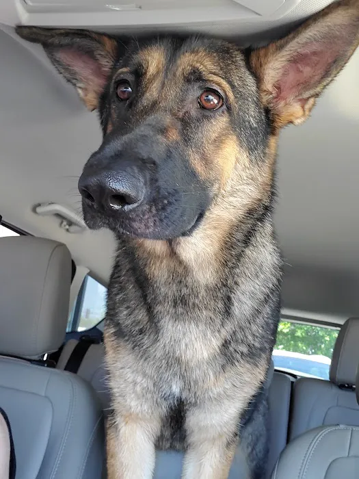 Bourbon City Animal Hospital 12