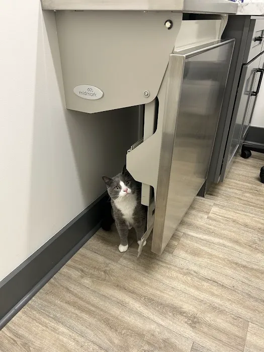 Bourbon City Animal Hospital 12