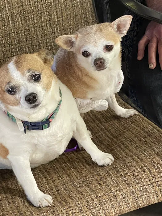 Bourbon City Animal Hospital 12