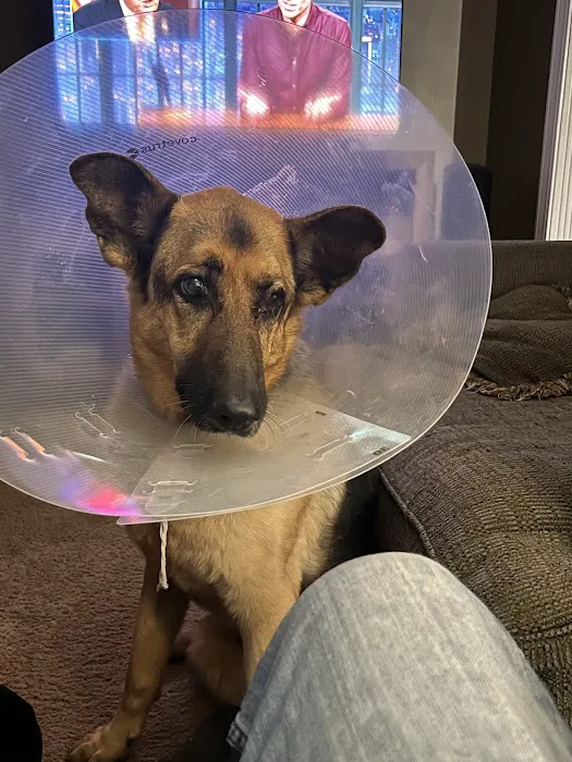 Bourbon City Animal Hospital 12