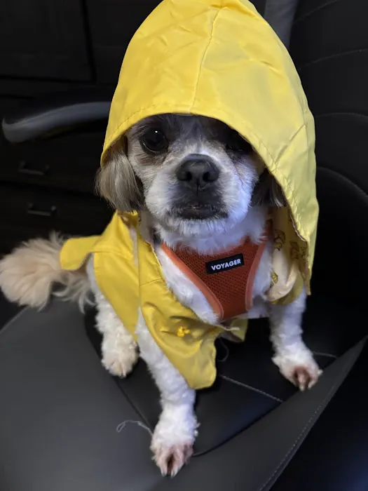 Bourbon City Animal Hospital 12