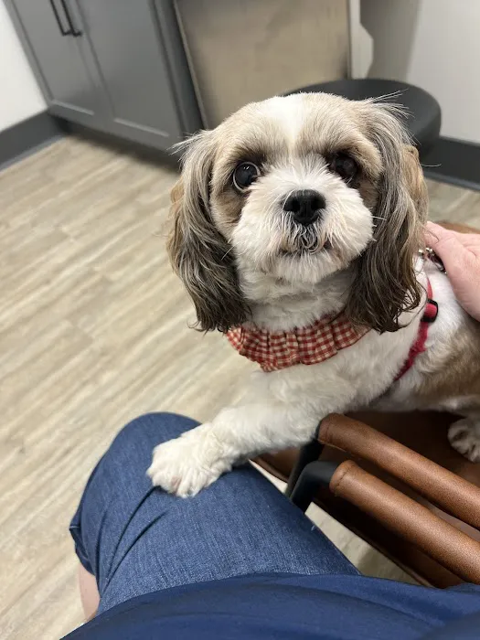Bourbon City Animal Hospital 12