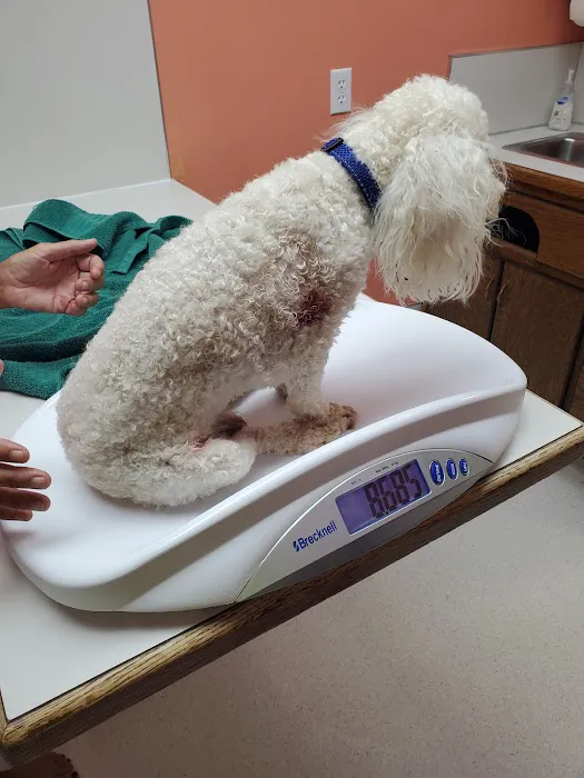 Bardstown Animal Clinic 12