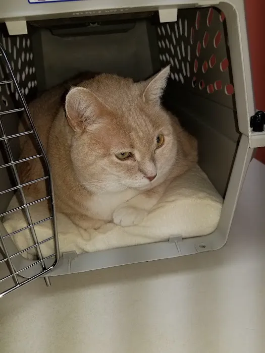 Bardstown Animal Clinic 12