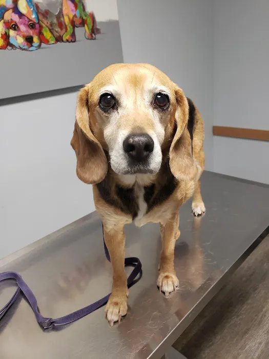 Central Kentucky Animal Clinic 12