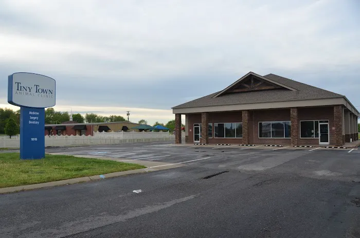 Tiny Town Animal Clinic 12