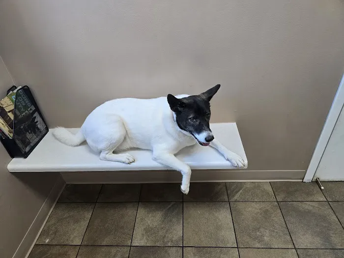 Tiny Town Animal Clinic 12