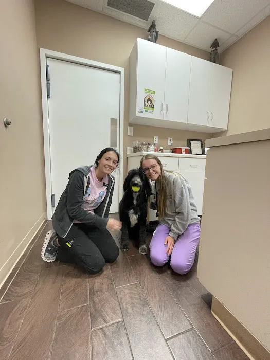 Tiny Town Animal Clinic 12