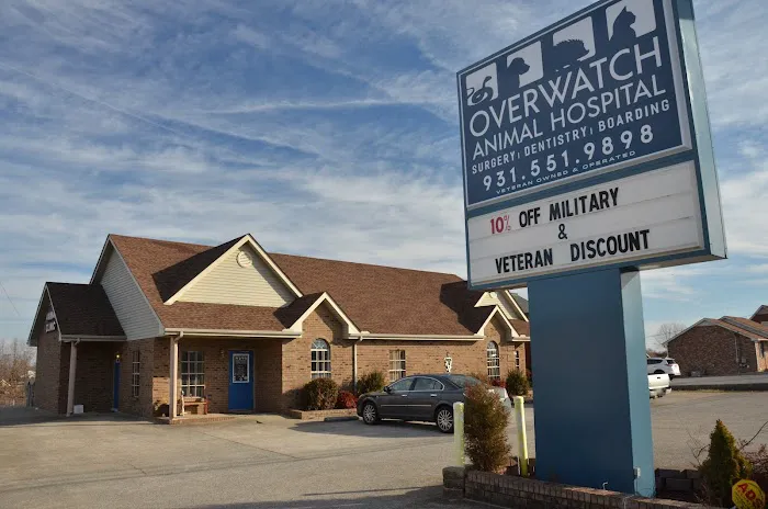 Overwatch Animal Hospital 12