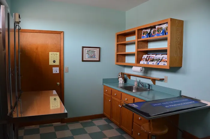 Overwatch Animal Hospital 12
