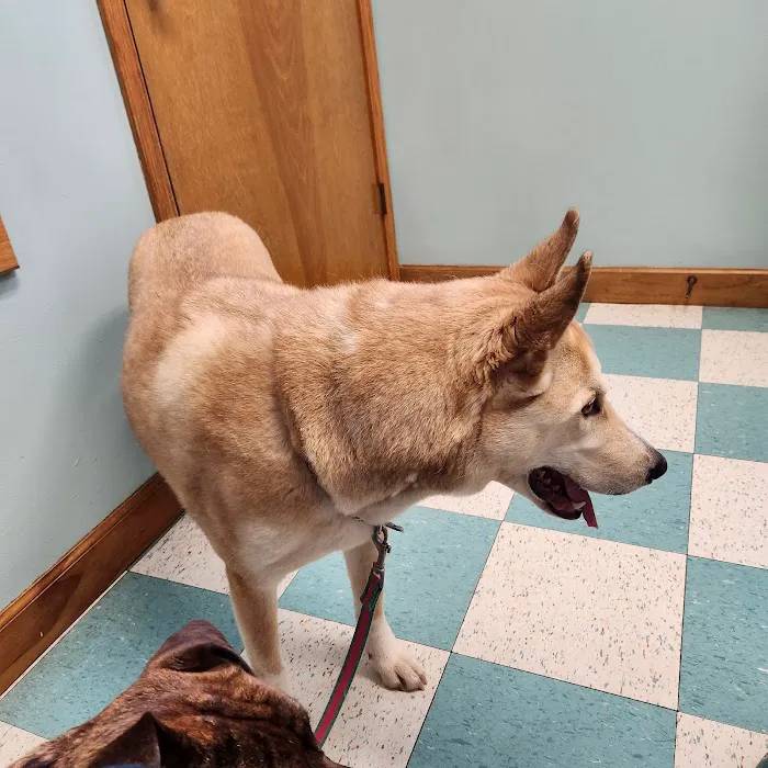 Overwatch Animal Hospital 12
