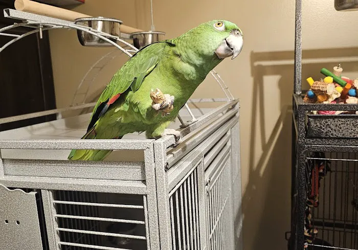 Overwatch Animal Hospital 12