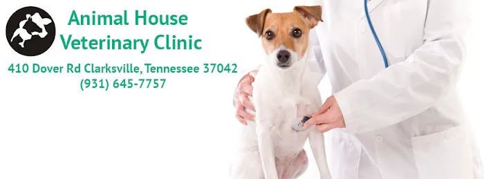 Animal House Veterinary Clinic 12