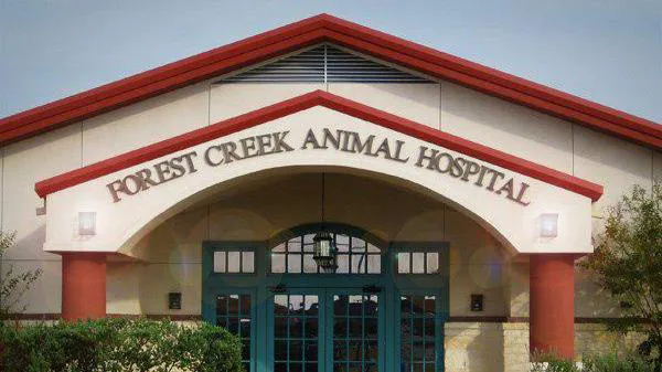 Forest Creek Animal Hospital 2