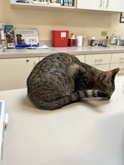 Forest Creek Animal Hospital 9