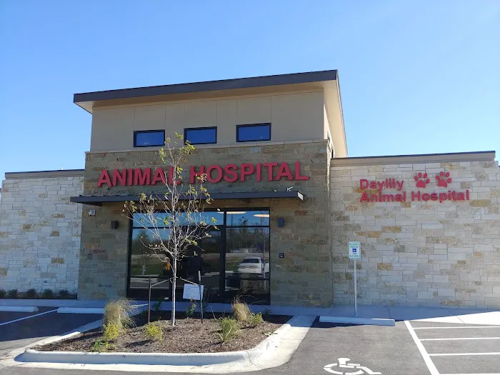 Daylily Animal Hospital 6