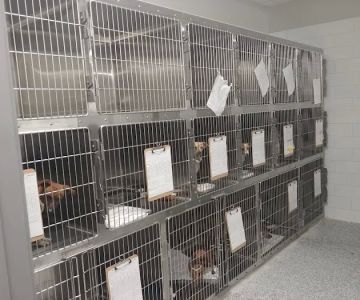 Daylily Animal Hospital