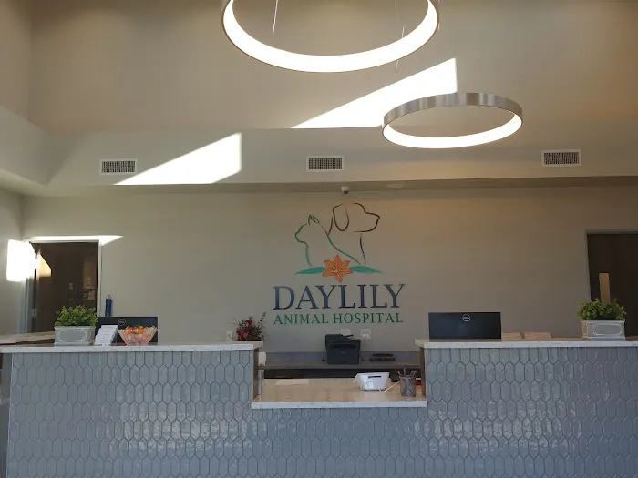 Daylily Animal Hospital 8