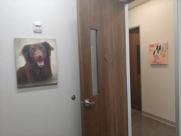 Daylily Animal Hospital 10
