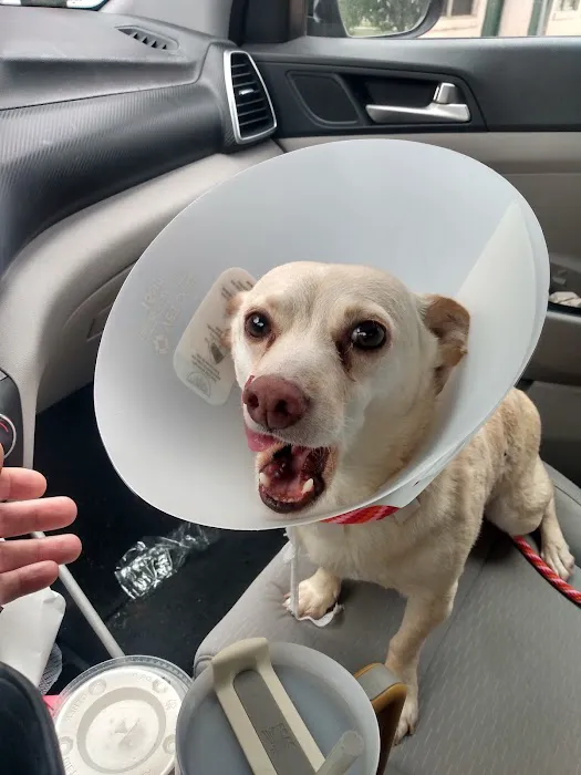FM 685 Animal Hospital 4