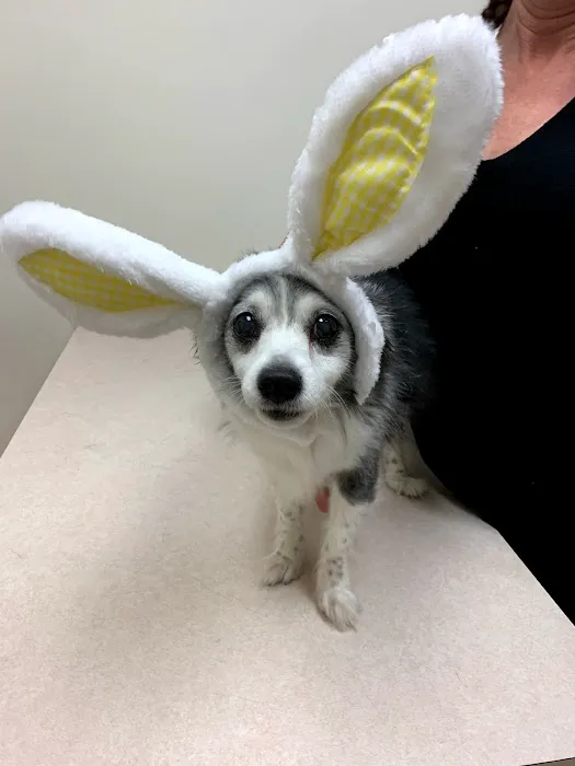 FM 685 Animal Hospital 10