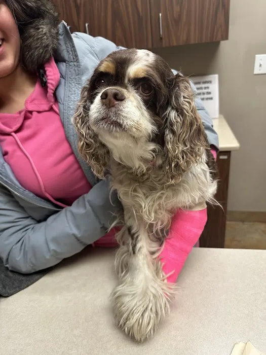 FM 685 Animal Hospital 5