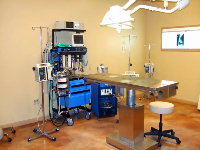 Heart of Texas Veterinary Specialty Center 2