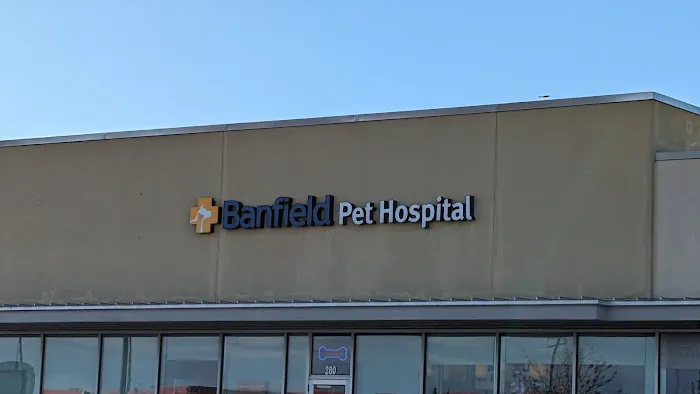 Banfield Pet Hospital 3