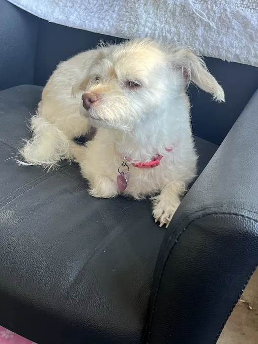 Banfield Pet Hospital 7