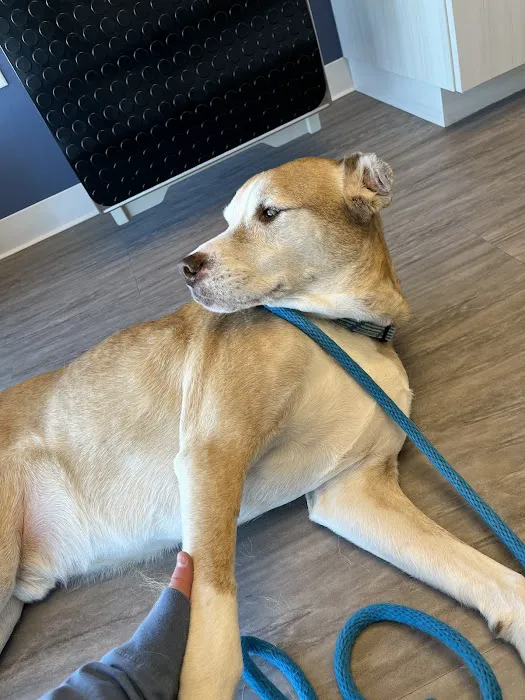 Paw Haven Animal Hospital 9