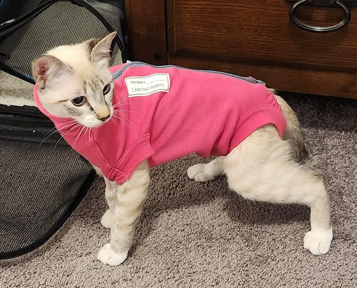Paw Haven Animal Hospital 6