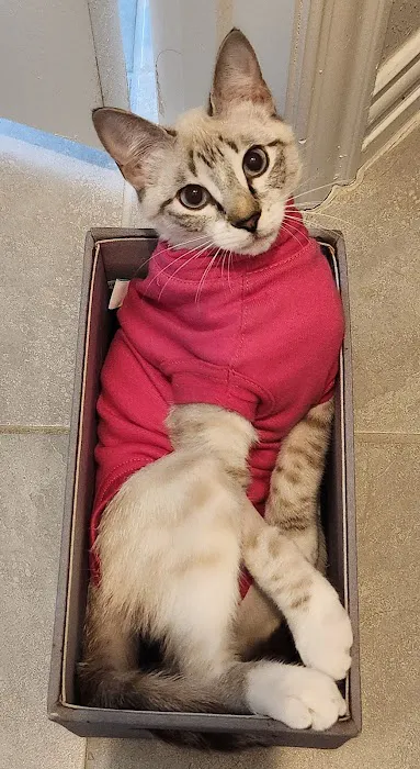 Paw Haven Animal Hospital 4