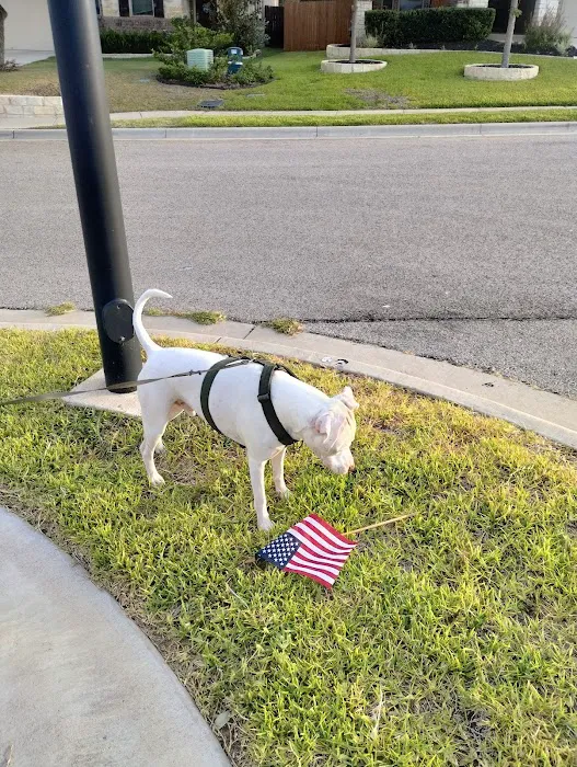 Hutto Veterinary Clinic 7
