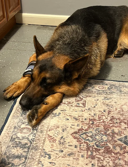 Hutto Veterinary Clinic 10
