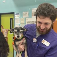 Banfield Pet Hospital ico