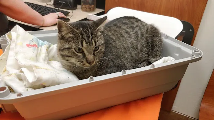 Banfield Pet Hospital 4